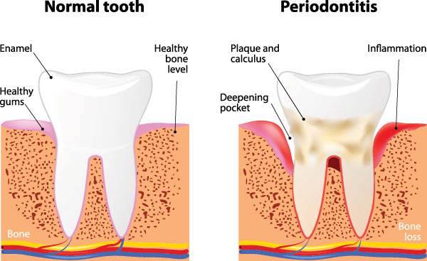 Dentist 92562